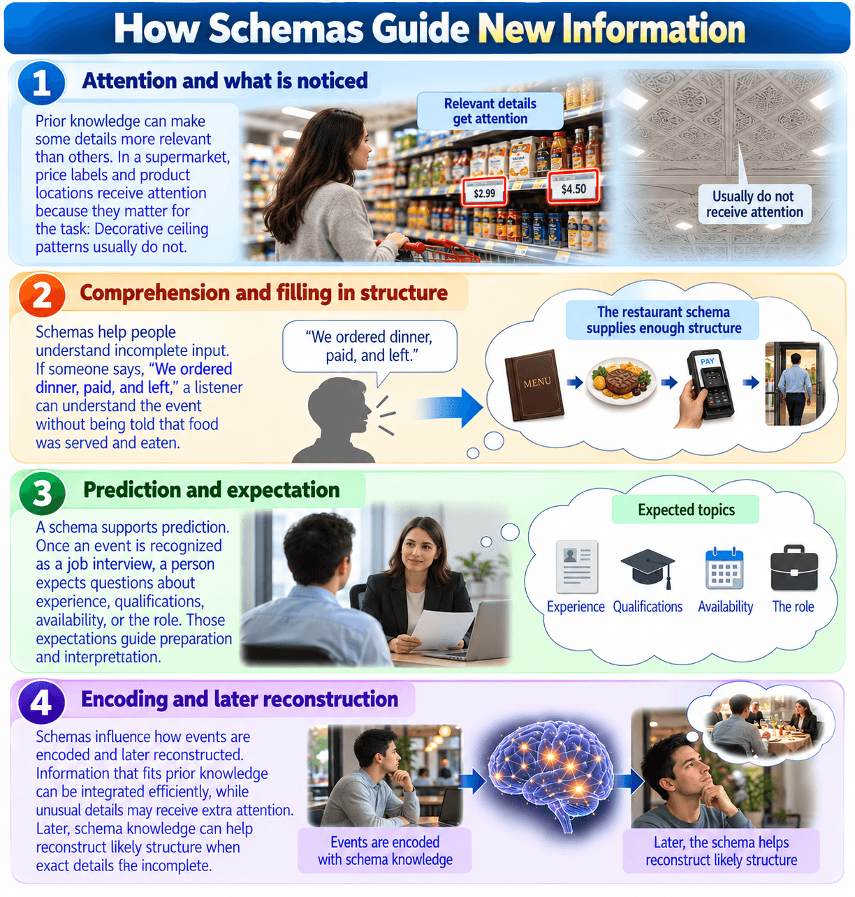How Schemas Guide New Information